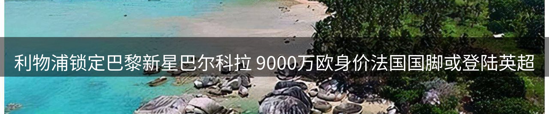 赛事资讯